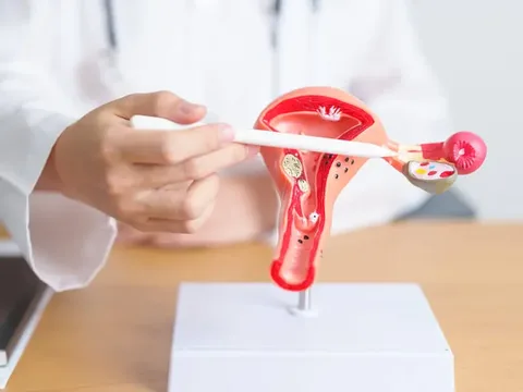 Fertility and reproductive health treatment in Guntur